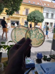 Obrázky kreslené baktériami v Petriho miskách, logo SAV a logo Trnavy.