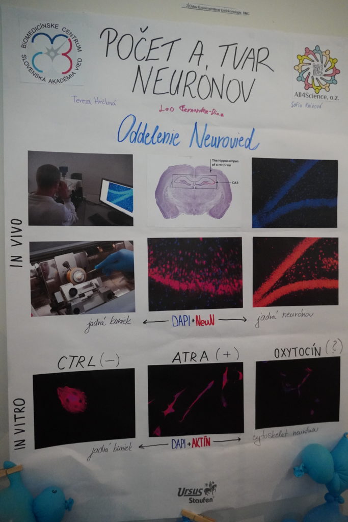 Plagát účastníkov letnej školy Počet a tvar neurónov.