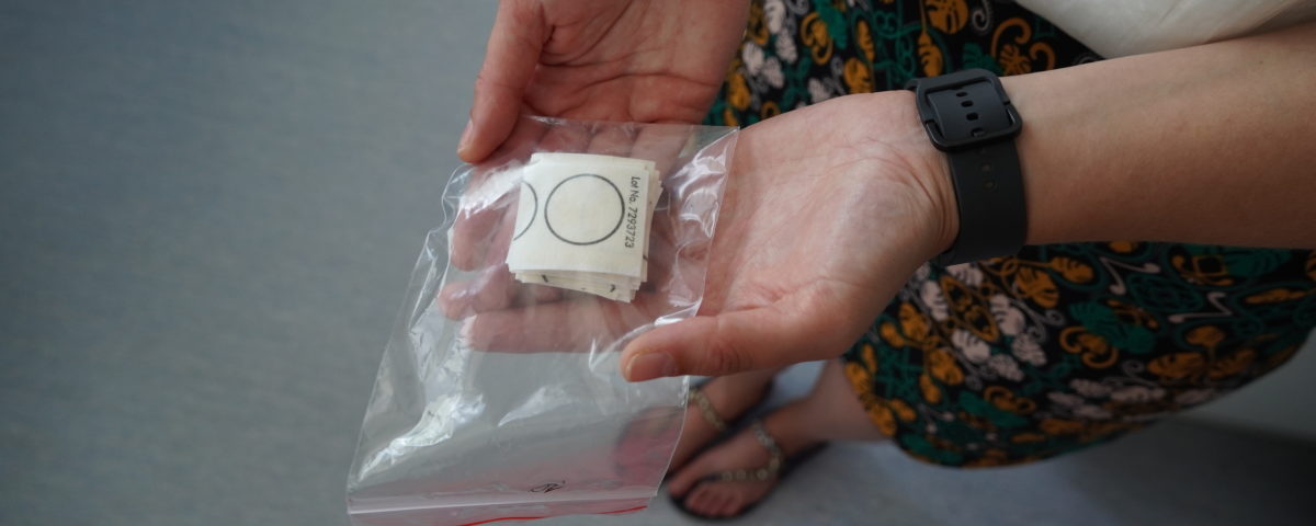 A card dipped in honey that is used to attract gravid female mosquitoes.