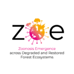 zoe logo